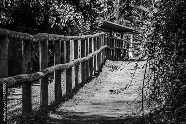 Fototapeta Caminho com cêrca