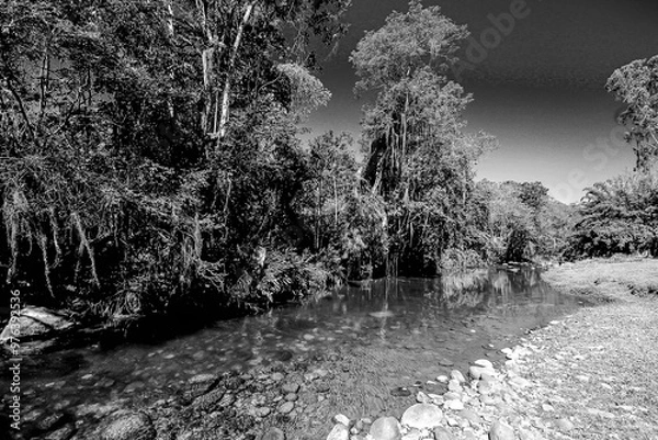 Fototapeta riacho com pedras