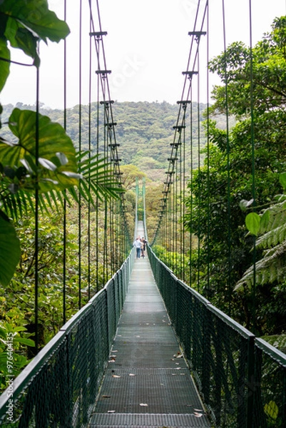 Obraz suspension bridge in the rainforest