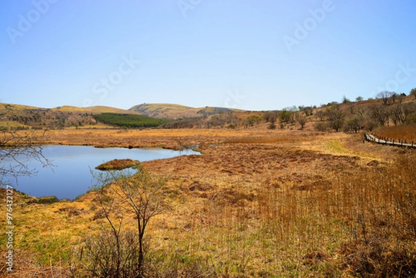 Fototapeta 八島ヶ原湿原　長野県下諏訪町
