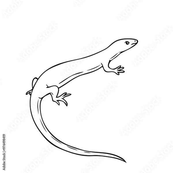 Fototapeta lizard line vector illustration