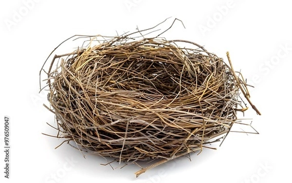 Fototapeta Ebrace nest isolated on white background. 3D rendering.