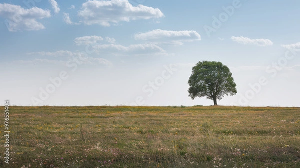 Fototapeta An image of a lone tree standing in a vast, open field. The field is dotted with colourful wildflowers. The sky is clear with a few fluffy clouds. The horizon line separates the field from the sky.