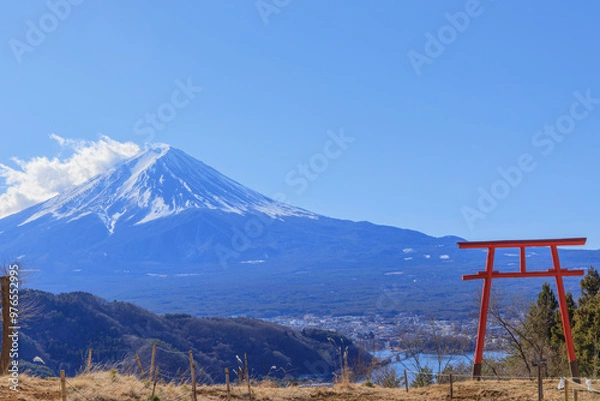 Fototapeta 富士山と鳥居