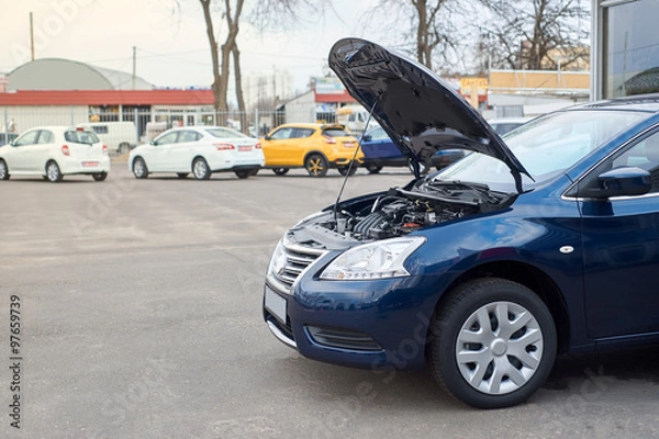 Obraz blue car broke down