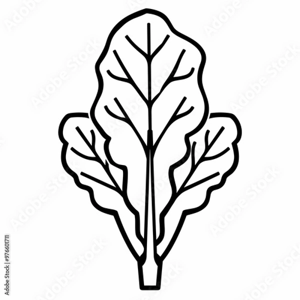 Fototapeta A detailed icon representing leafy greens, featuring intricate line work that highlights the leaves and stems, ideal for health-related designs or educational materials
