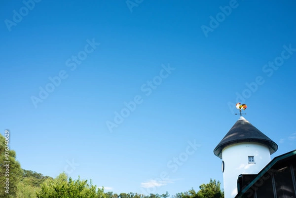 Obraz Rooster weathervane on a cowshed.