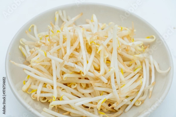 Fototapeta もやし