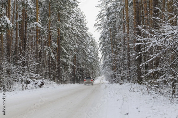 Fototapeta Зимний лес