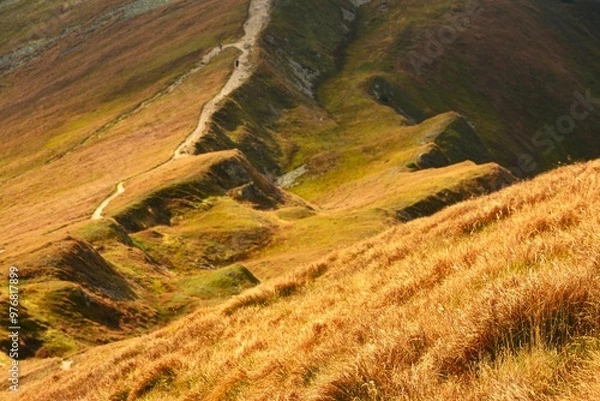 Fototapeta połoniny