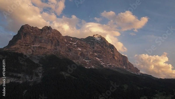 Fototapeta OLYMPUS DIGITAL CAMERA