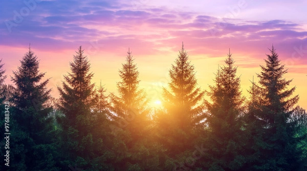 Obraz Vibrant Sunset Over Forest with Silhouetted Trees