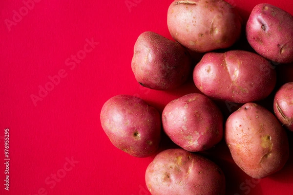 Obraz Red potatoes against a red background 