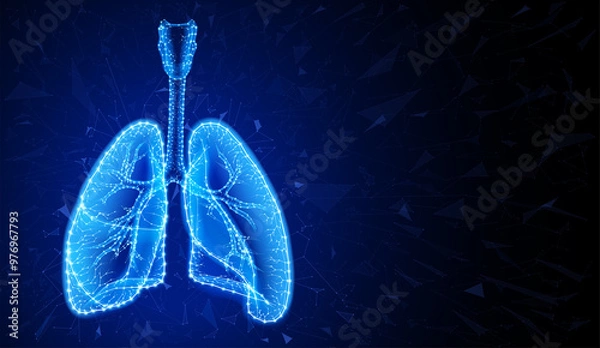 Fototapeta Illustration of two human lungs in a modern style using geometric shapes connected to form the shape of human lungs on a dark blue background.