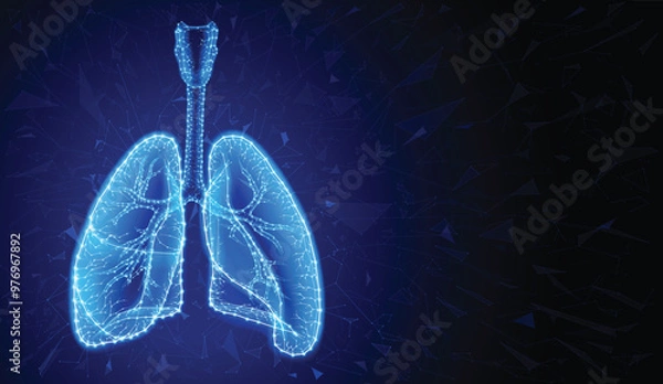 Fototapeta Illustration of two human lungs in a modern style using geometric shapes connected to form the shape of human lungs on a dark blue background.