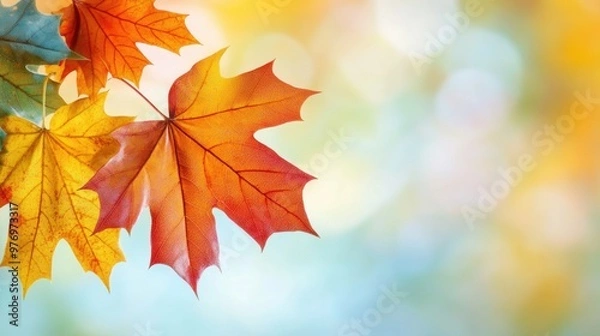 Fototapeta A close up of a colorful maple leaf hanging from the branch, AI