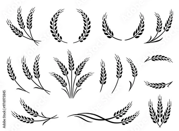 Obraz Wheat spikes, barley sheaf with grain set