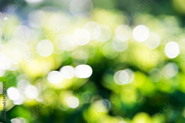 Obraz Natural green background