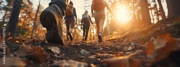 Fototapeta A group of friends hiking in the forest at sunrise, a close-up shot focusing on their shoes and legs as they walk along an old trail with scattered pine trees around them