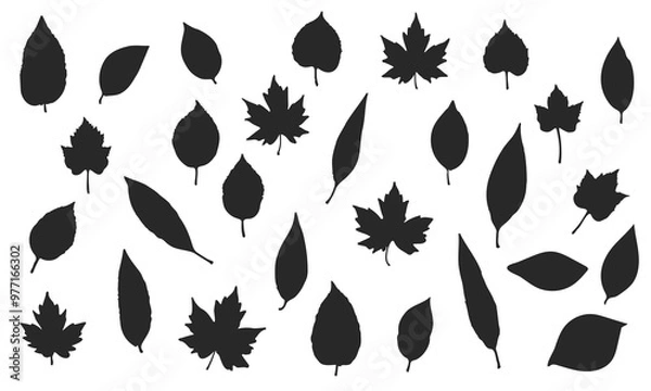 Fototapeta set of silhouettes of various leaves