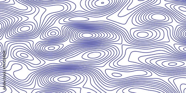 Obraz Abstract topographic map background. Topographic map lines contour background. 