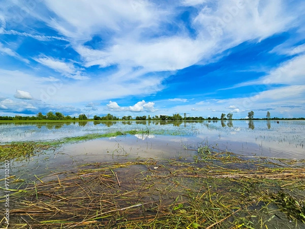 Obraz Flooding in Roi Et Province, Thailand, year 2023
