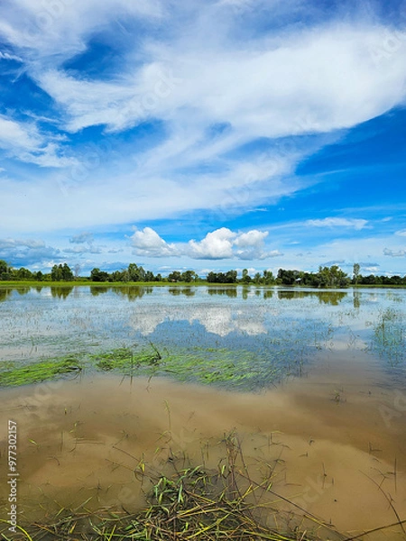 Obraz Flooding in Roi Et Province, Thailand, year 2023