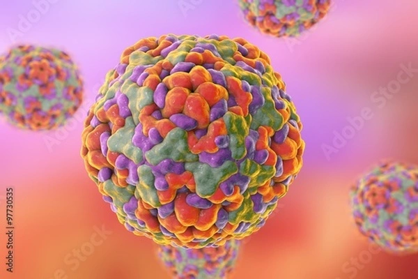 Obraz Illustration of Enterovirus D68 which causes respiratory infections in children on colorful background. A model is built using data of viral macromolecular structure from Protein Data Bank (PDB 4WM8)