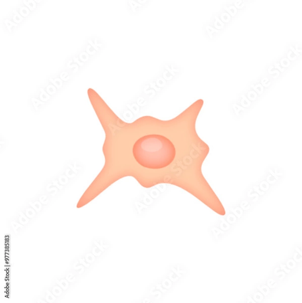 Fototapeta Fibroblast illustration 