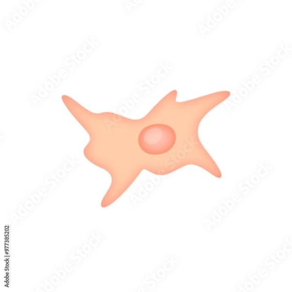 Fototapeta Fibroblast illustration 