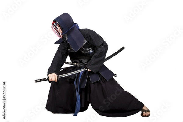 Obraz Kendo