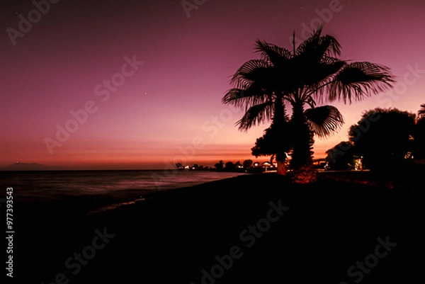 Obraz sunset on the beach with palm trees