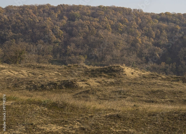 Obraz The view from the valley to the wooded hill