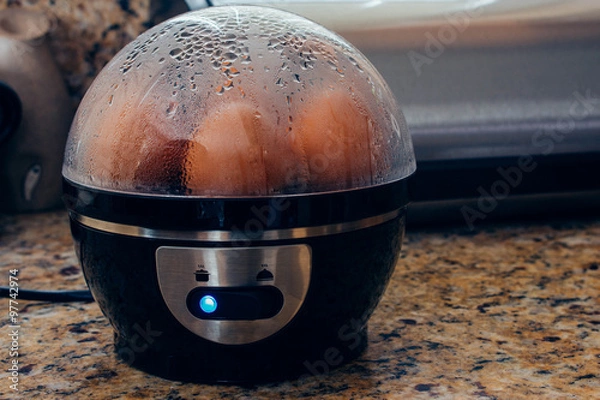 Obraz Egg cooker with eggs