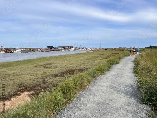 Fototapeta Beautiful landscape of Suffolk coast walk on path near Walberswicj Southwold, no people, with green Summer grass by estuary and ocean with blue skies and light white cloud on holiday in sunshine