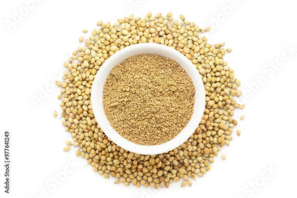 Obraz A bowl of Organic Coriander (Coriandrum sativum) powder, placed over a heap of whole Coriander seeds. Isolated on a white background.