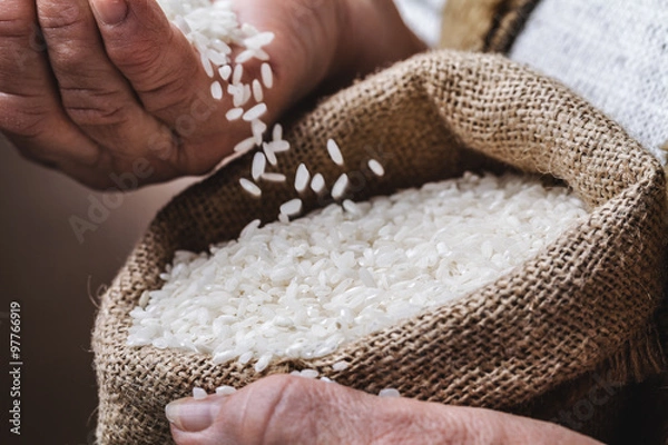 Obraz white rice in old hand