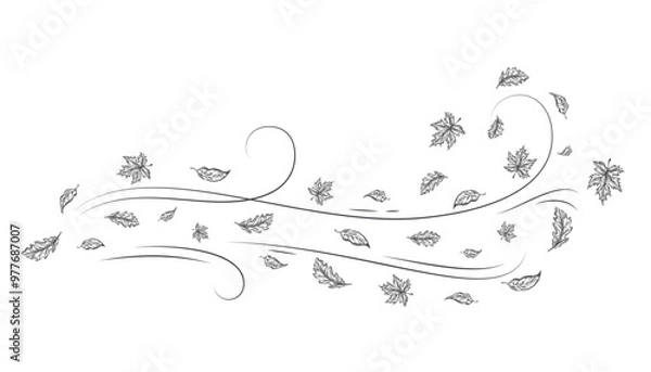 Fototapeta Autumn Leaves Outline Sketch Blown by a Cold Gust of Wind. Hand Drawn Oak and Maple Leaf Carried During Windy Weather. Vector Line Doodle Illustration Isolated
