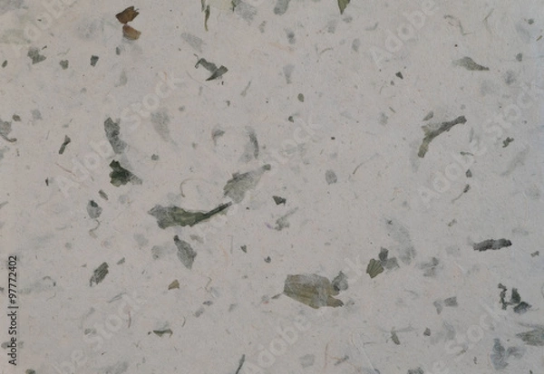 Obraz Mulberry paper texture background, Green