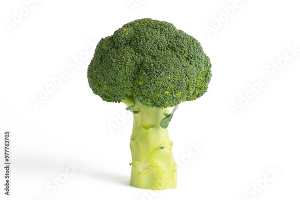 Fototapeta Broccoli on a white background