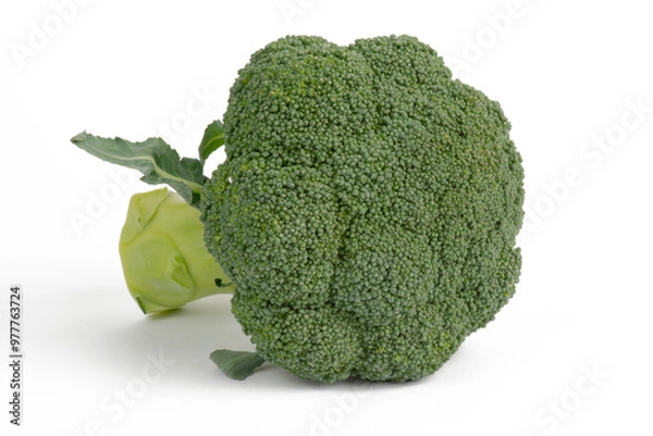 Fototapeta Broccoli on a white background