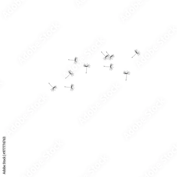 Fototapeta dandelion flowers blowing in the wind
