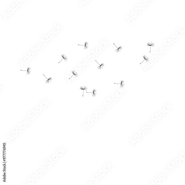 Obraz dandelion flowers blowing in the wind