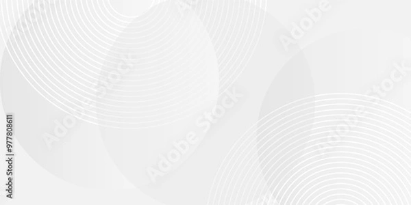Fototapeta White geometric abstract background overlap layer on bright space with lines effect decoration. Modern graphic design element circles style concept for banner.