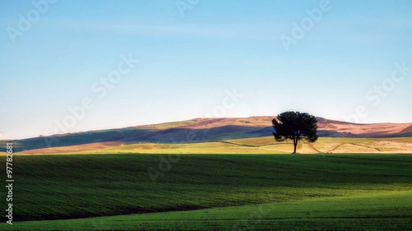 Obraz Campagne Siciliane