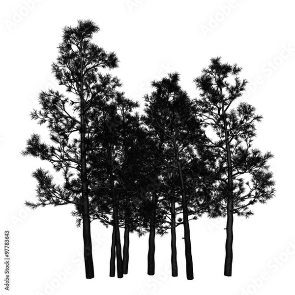 Obraz Tree