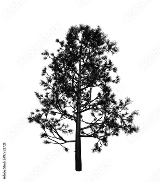 Obraz Tree