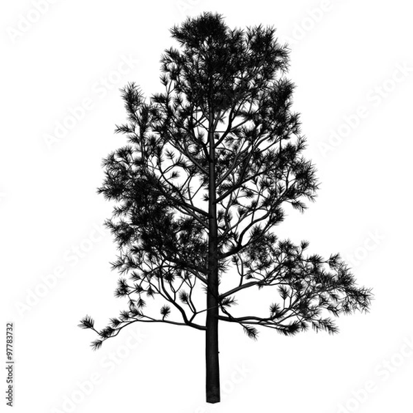 Obraz Tree