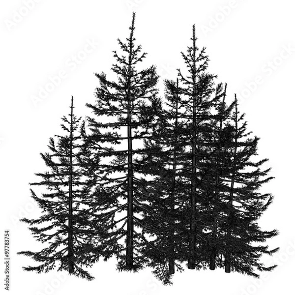 Obraz Pine