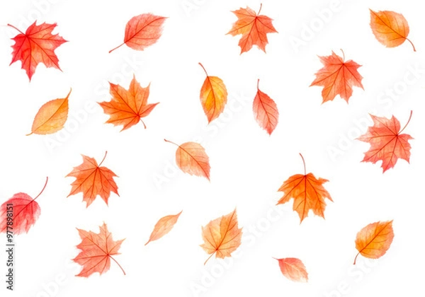 Fototapeta autumn falling leaves pattern background design